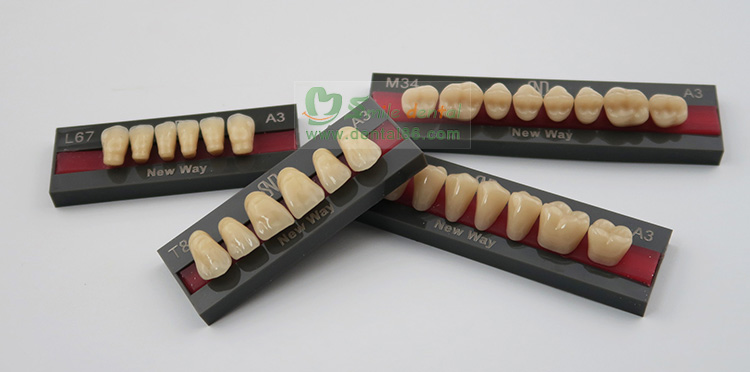 R101 Three Layer Acrylic Resin Teeth